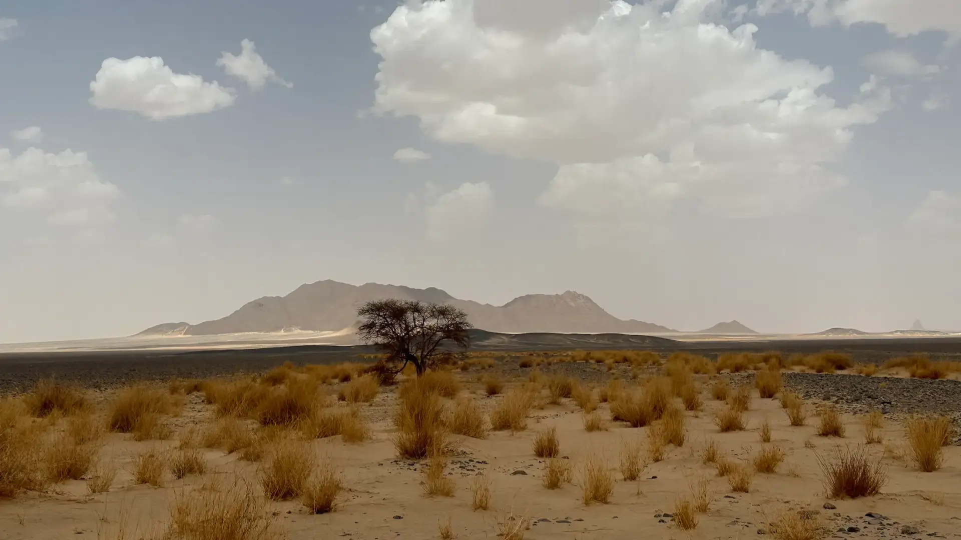 Tamanrasset