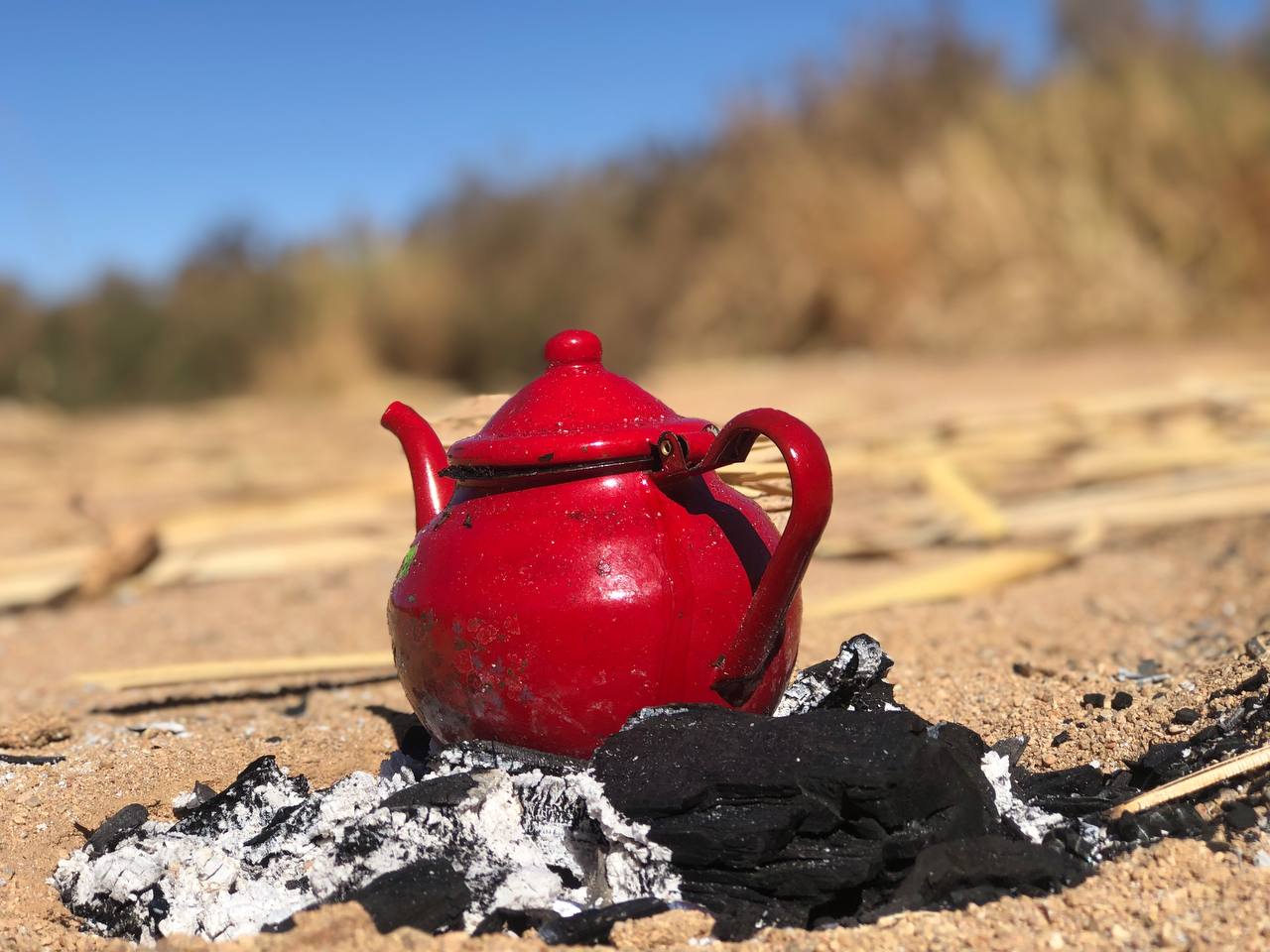 L’Art du thé au Sahara : Entre secrets de santé et philosophie nomade