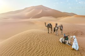 CARAVANE DE DROMADAIRES DANS LE GRAND ERG DE MEHEDJEBAT SITUÉ À L'OUEST DES GORGES D'ARAK AU NORD DE TAMANRASSET